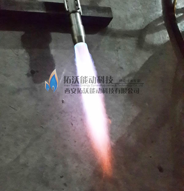 SHELL沥青气化炉辅烧烧嘴.jpg